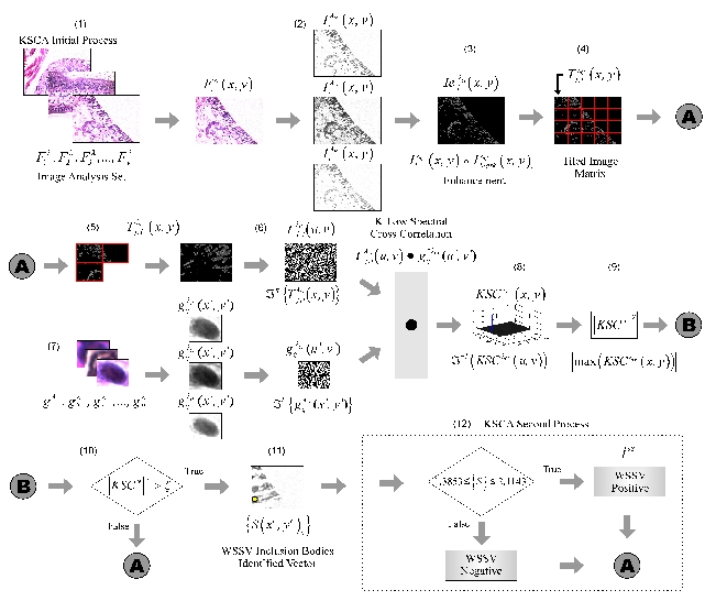 KSCA_Diagram