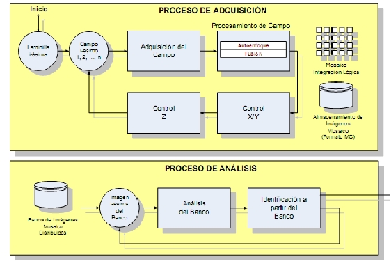 Proceso de adquisici&oacute;n