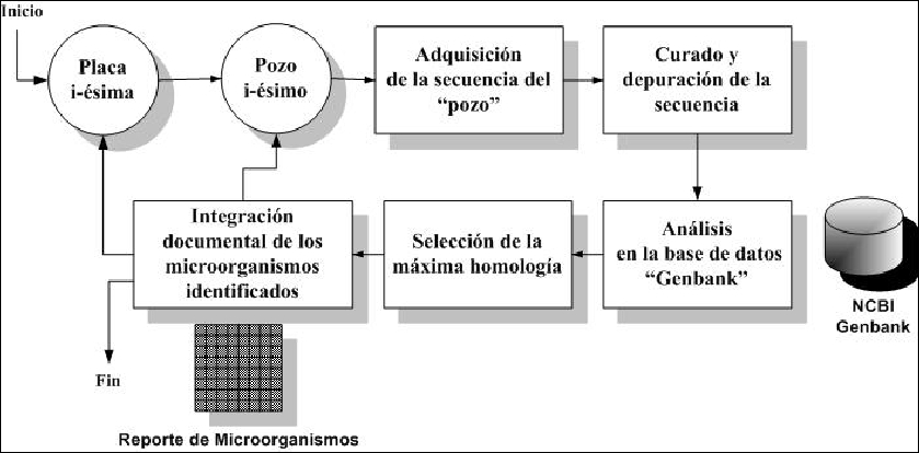Analisis Bioinformatico